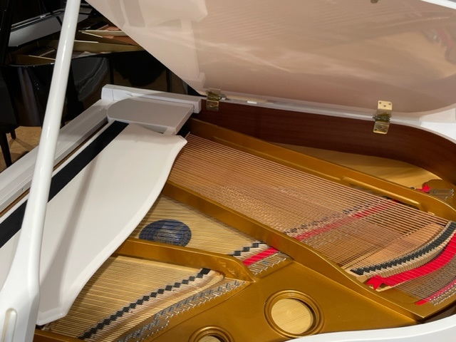 Euterpe 160, akustische Anlage